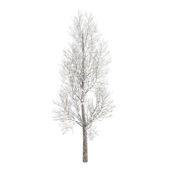 Naklejka premium Tree snow covered isolated transparent background sketch PNG 