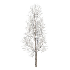 Obraz premium Tree snow covered isolated transparent background sketch PNG 