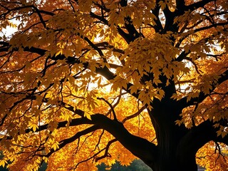Golden leaves cascade from a majestic, old oak tree, bathed in warm, soft sunlight,  vibrant foliage,  forest