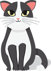 Cat Breed Hand Drawn Illustration