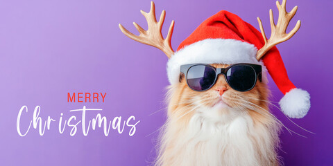 Merry Christmas concept holiday vacation winter greeting card with text - Cute santa claus cat with santa hat and reindeer antlers, isolated on purple background