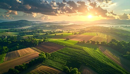 Naklejka premium Aerial view of rolling green hills with agricultural fields, bathed in golden light from a setting sun