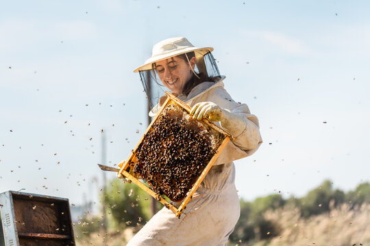 Female beekeeper conducting hive inspection for sustainability