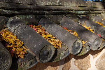 A close-up photo of fallen leaves and maple trees on the old tiled roof of Bulguksa Temple in Gyeongju, South Korea.