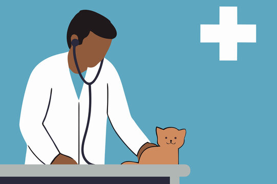 Veterinarian Examining a Cat. Pet Healthcare Vector Illustration.
