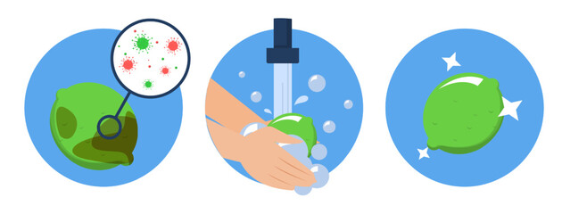 Washing lime concept vector isolated. Dirty fruit full of bacteria before and clean product after washing in the water. Hands wash citrus with soap.