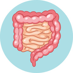 Stylized Illustration of Human Intestines and Colon With Pink and Peach Tones Against a Light Blue Circular Background Representing the Digestive System Anatomical Representation