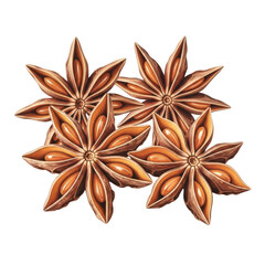 Four Star Anise isolated on Transparent Background. Close up Studio Shot of Brown Anise Stars.