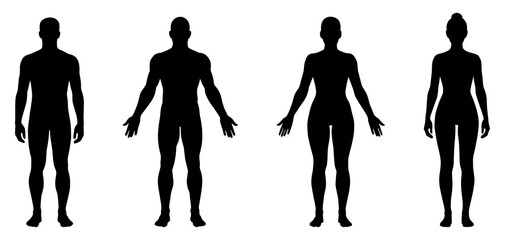 Man and woman body silhouette. Human figure outline. Male and female front view body shapes standing full height. Bare and naked slim healthy people © Maxim Filitov