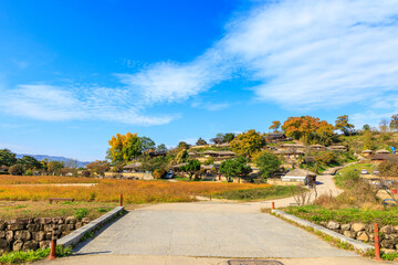 Autumn scenery of Yangdong Village, an old traditional village in Gyeongju, Korea.