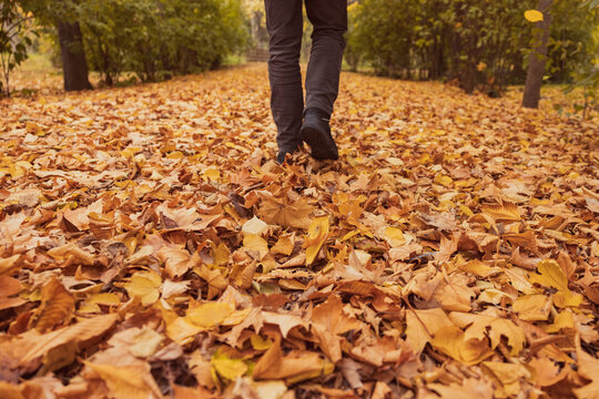 Autumn walking in boots along a path covered with leaves