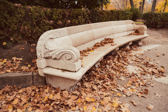 Close-up of a stone bench in a park with dry autumn leaves