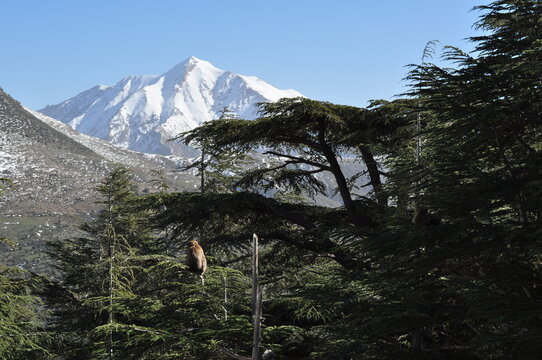 A mountain natural scenery in the heights of Tikjda