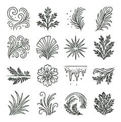 Vintage floral decorative elements collection in ornate style