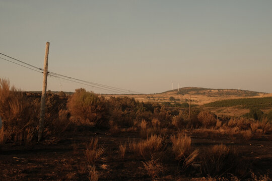 Burned landscape with dry mountain and power lines