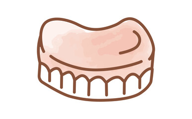 介護向けの入れ歯の水彩手描きイラスト Upper Denture Illustration