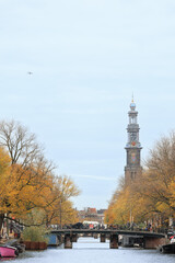 Golden autumn trees along the canal with Westerkerk in the background, Amsterdam cityscape