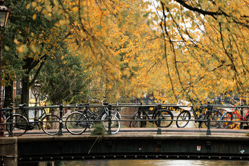Bikes parking on a canal bridge with golden trees in the background, Amsterdam autumn 
