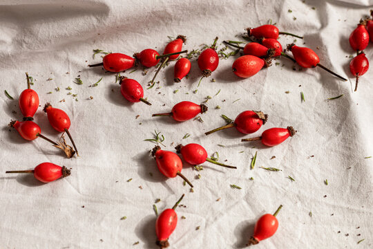 Fresh red rose hips scattered on white fabric