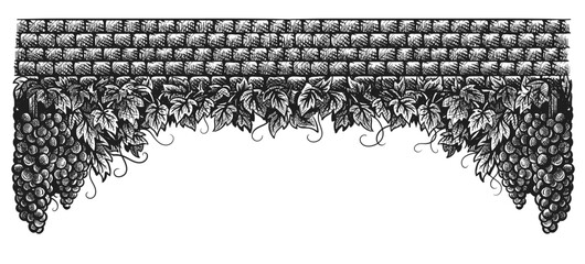 Grapes vineyard, grapevine with bunches of grapes on vintage stone wall black and white vector illustration. Set of sketch style vine branches leaves. Wine labels design, branding border hand drawn de
