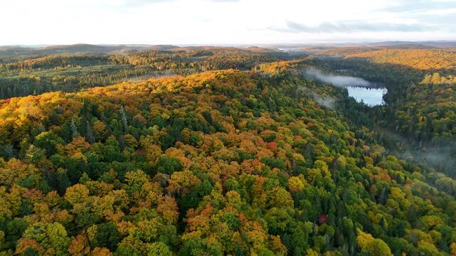 Drone view of a colorful autumn forest with mountains, lake, and river at sunrise in Mauricie, Quebec, Canada. Warm morning light highlights vibrant fall foliage and peaceful landscape.