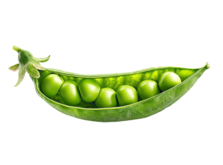 Fresh green peas in a opened pod on a black background
