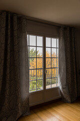 window with curtains