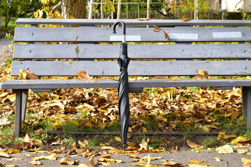 Near a wooden bench, among dry yellow leaves, stands an unopened man's umbrella. © Михаил Жигалин