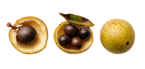 Three camelias one halved with seed, one with multiple seeds, one whole