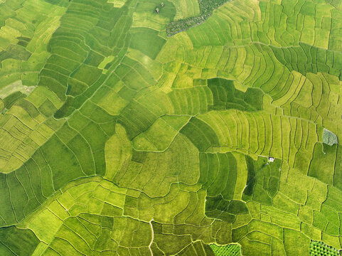Aerial view of patchwork fields of vibrant green and yellow hues create a stunning mosaic of agriculture stretching across the landscape, Naogaon, Rajshahi Division, Bangladesh.