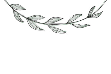 Delicate vine design features intertwined leaves with smooth curves, creating a serene and organic feel perfect for decoration or inspiration.