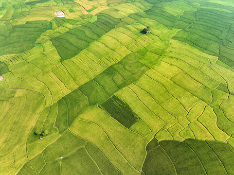 Aerial view of a patchwork quilt of vibrant green rice paddies, showcasing the agricultural heartland under the vast sky, Naogaon, Rajshahi Division, Bangladesh.