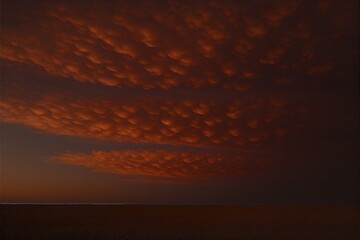 Fiery mammatus cloud field at sunset