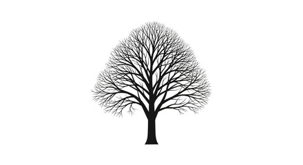 Naklejka premium Elegant silhouette of a bare deciduous tree, intricate branches against a white background, perfect for winter, holiday, and Christmas-themed designs.