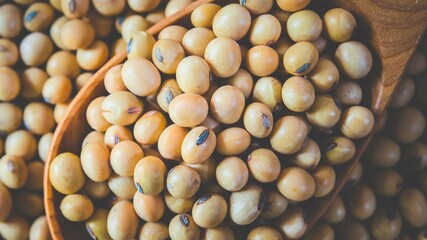 Close up view of a pile of dried soybeans in a woven basket
