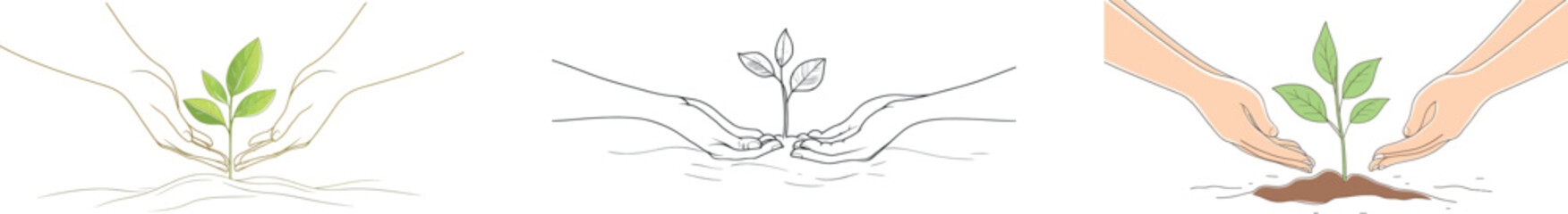 Minimalist design meets nature in this hand-drawn illustration of a plant being held, emphasizing simplicity and modern symbolism