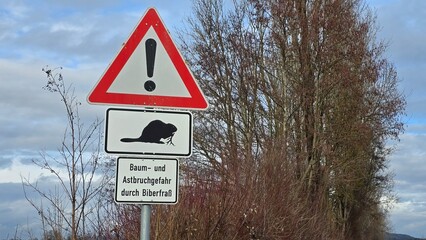 Warnschild mit Biber-Symbol – Baum- und Astbruchgefahr durch Biberfraß