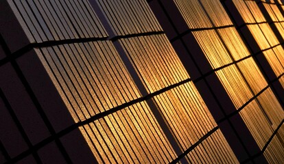 Warm sunlight creates dramatic shadows on a textured surface