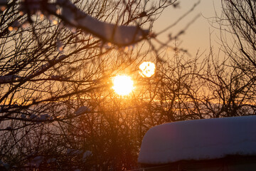 Golden winter sunrise through bare branches creates a peaceful and serene atmosphere perfect for holiday themes and seasonal projects now