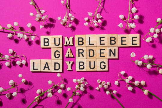 Crossword puzzle with wooden blocks and flowers