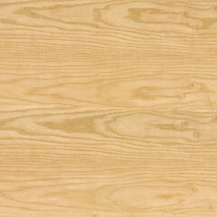 Oak Texture Close-Up Texture