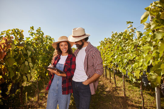Two individuals work together in a vineyard, checking the vineyards and discussing plans for wine production. They are dressed casually in a sunny setting, enjoying their family business. - Powered by Adobe
