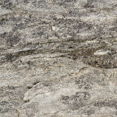 Light Grey Granite with Coarse Texture Close-Up Texture