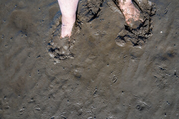 Human legs stepping into wet, muddy ground and showing a deep footprint in the Wadden Sea