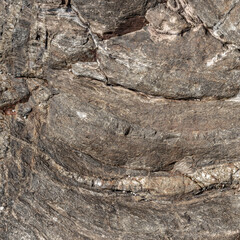 Grey Folded Granite Rock Texture Close-Up Texture