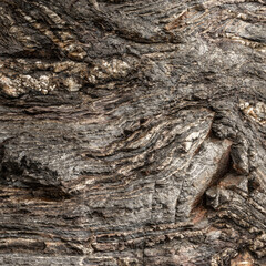 Grey Layered Metamorphic Rock Texture Close-Up Texture