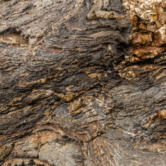 Warm Brown Layered Rock Texture Close-Up Texture