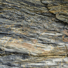 Beige and Grey Mudstone Texture Close-Up Texture