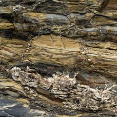 Warm Beige Sedimentary Rock Texture Close-Up Texture