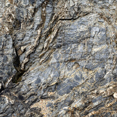 Metamorphic Rock Texture with Intricate White Veining Close-Up Texture